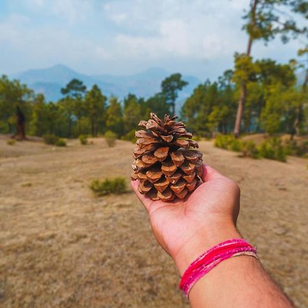 Livingstone, Chail Villa Esterno foto